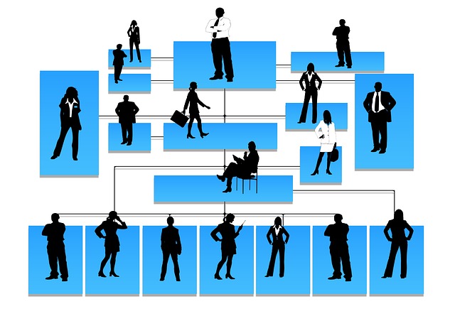 siluety hierarchie