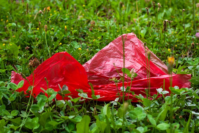 červený sáček v trávě